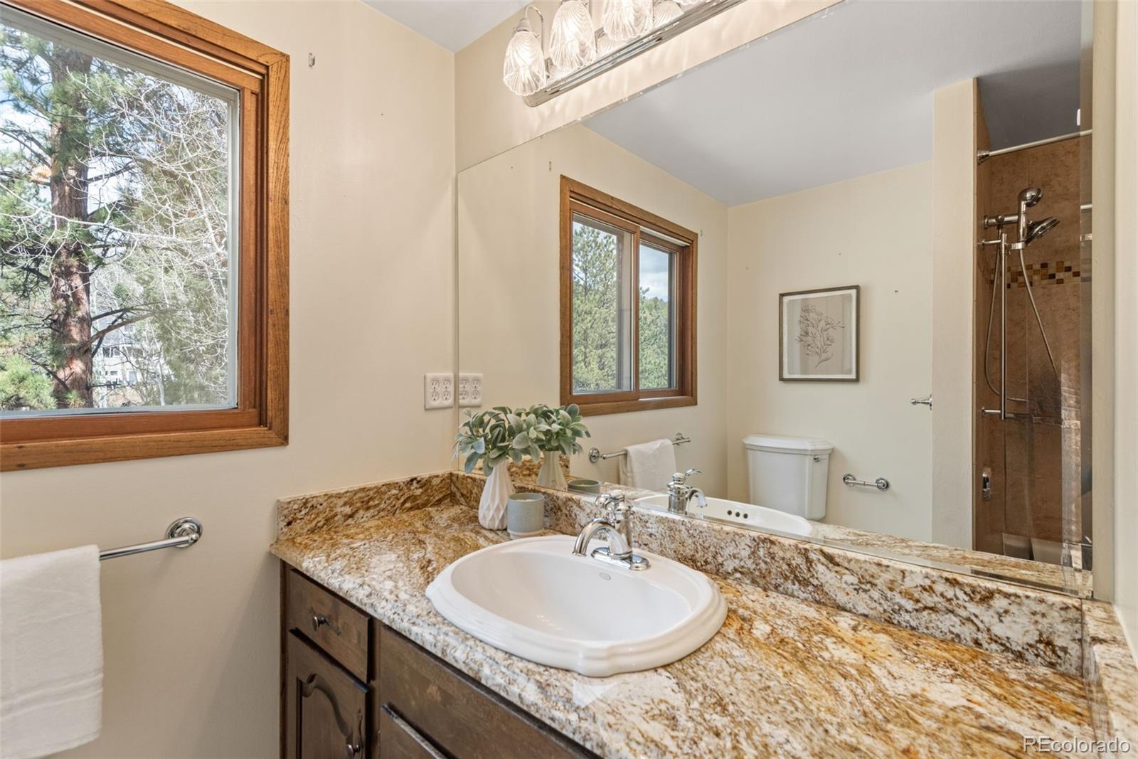 13609 Elsie Road Conifer, CO 80433 - Photo 35 of 48 Gallery Image 35