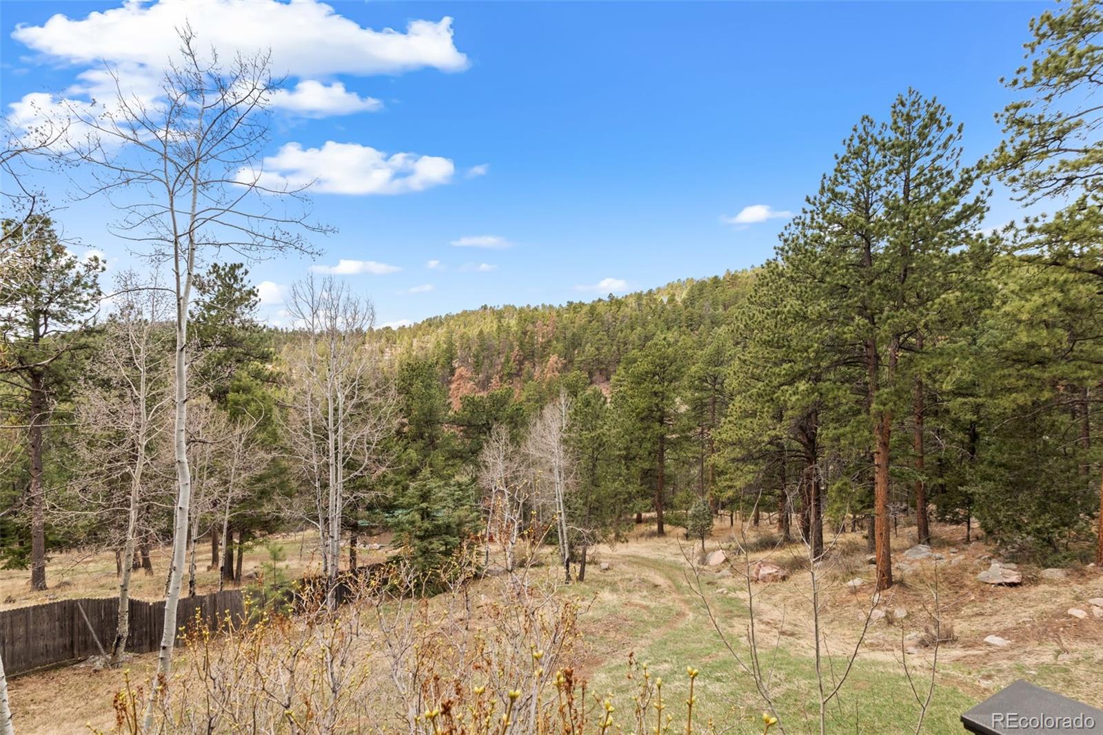13609 Elsie Road Conifer, CO 80433 - Photo 44 of 48 Gallery Image 44
