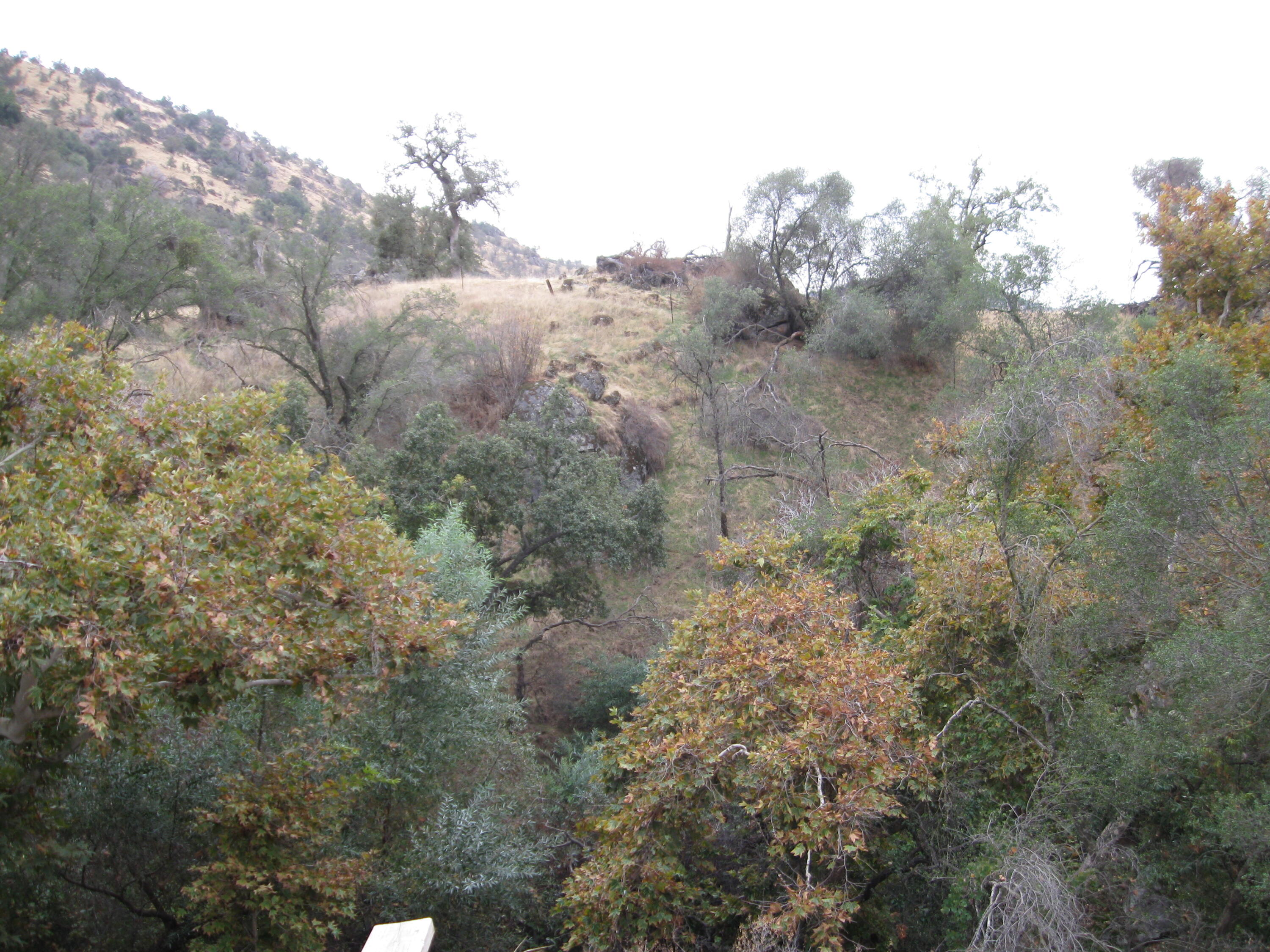 35548 Hummingbird Lane Squaw Valley, CA 93675 - Photo 33 of 33 IMG_4864