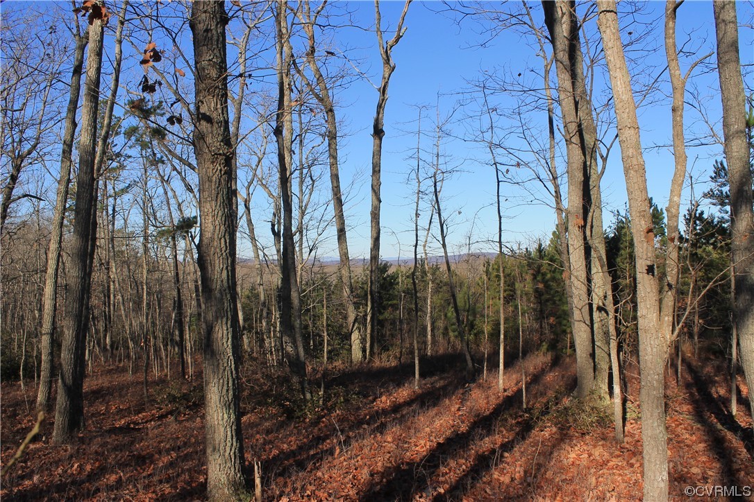 Tbd Ponderosa Road Louisa, VA 23093 - Photo 1 of 42 Gallery Image 1