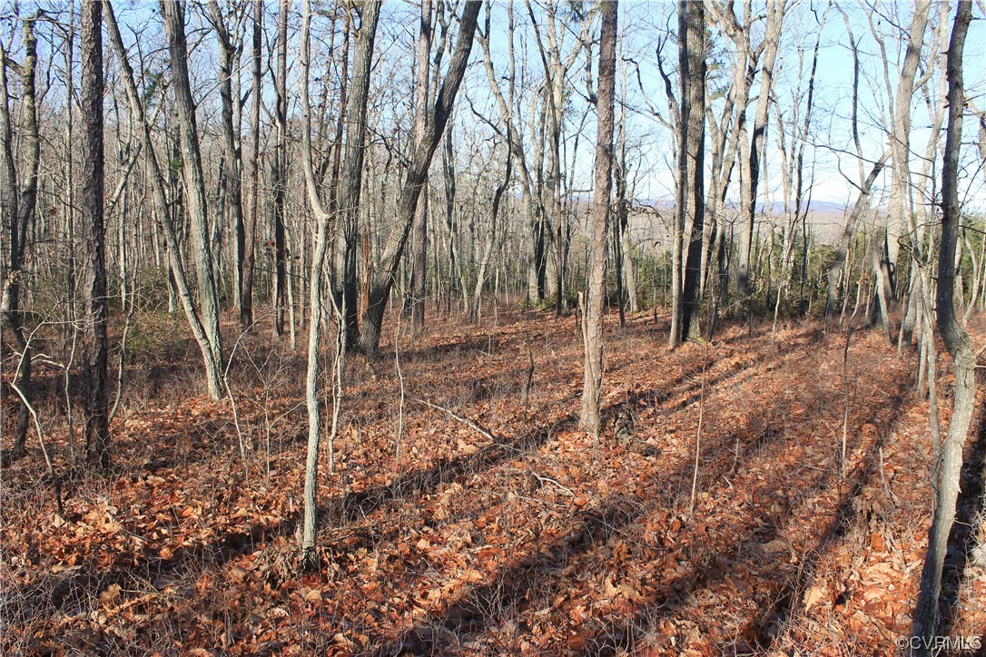 Tbd Ponderosa Road Louisa, VA 23093 - Photo 11 of 42 Gallery Image 11