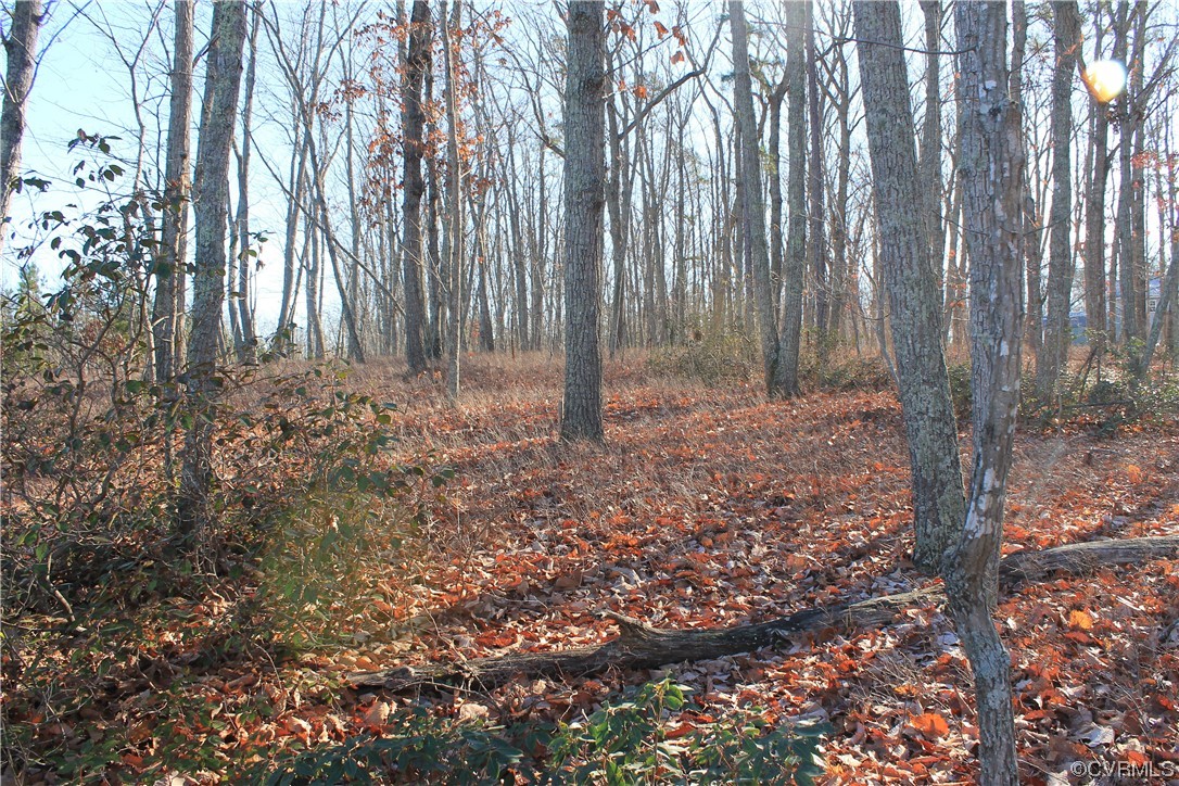 Tbd Ponderosa Road Louisa, VA 23093 - Photo 14 of 42 Gallery Image 14