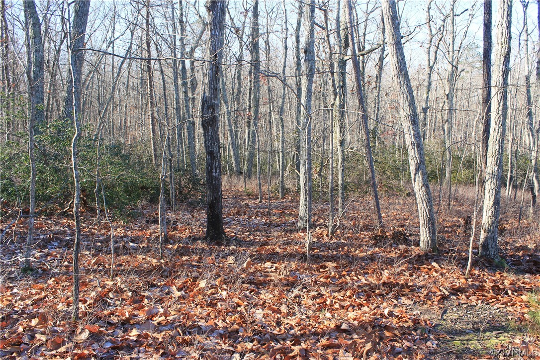 Tbd Ponderosa Road Louisa, VA 23093 - Photo 16 of 42 Gallery Image 16