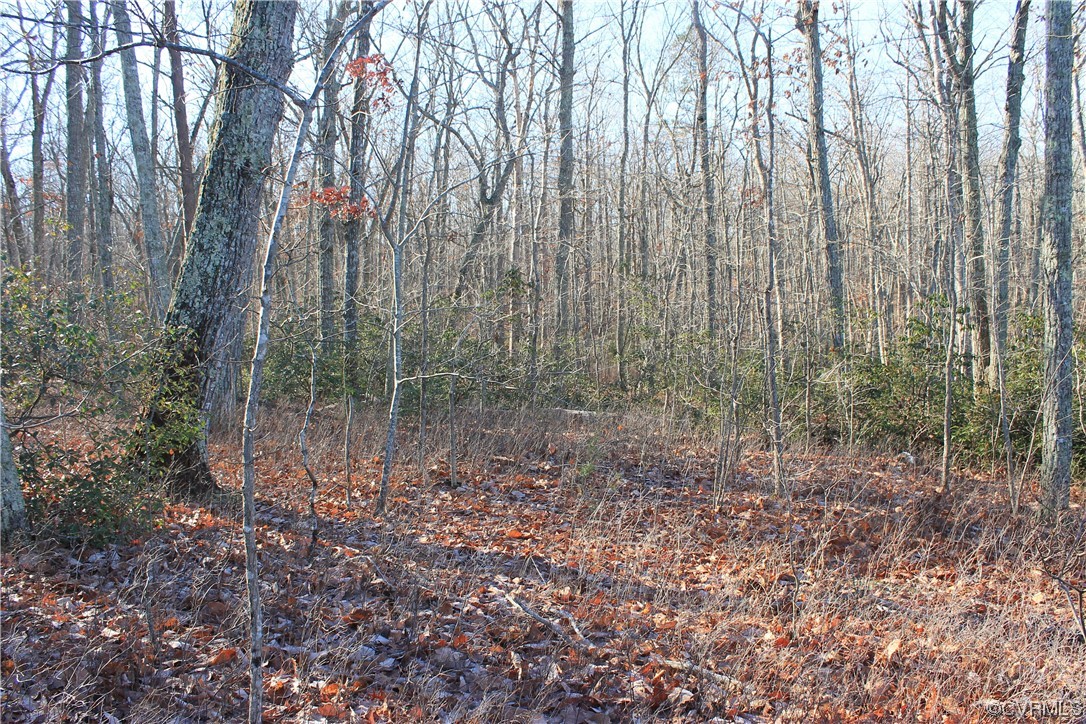 Tbd Ponderosa Road Louisa, VA 23093 - Photo 17 of 42 Gallery Image 17