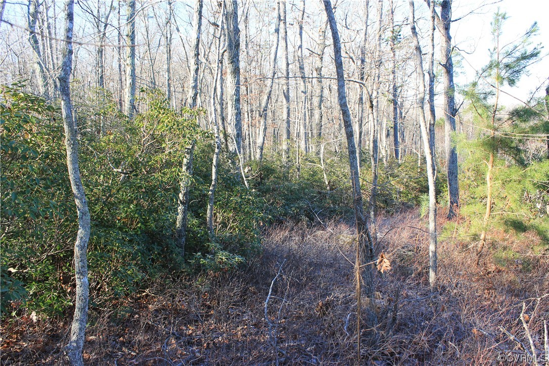 Tbd Ponderosa Road Louisa, VA 23093 - Photo 18 of 42 Gallery Image 18