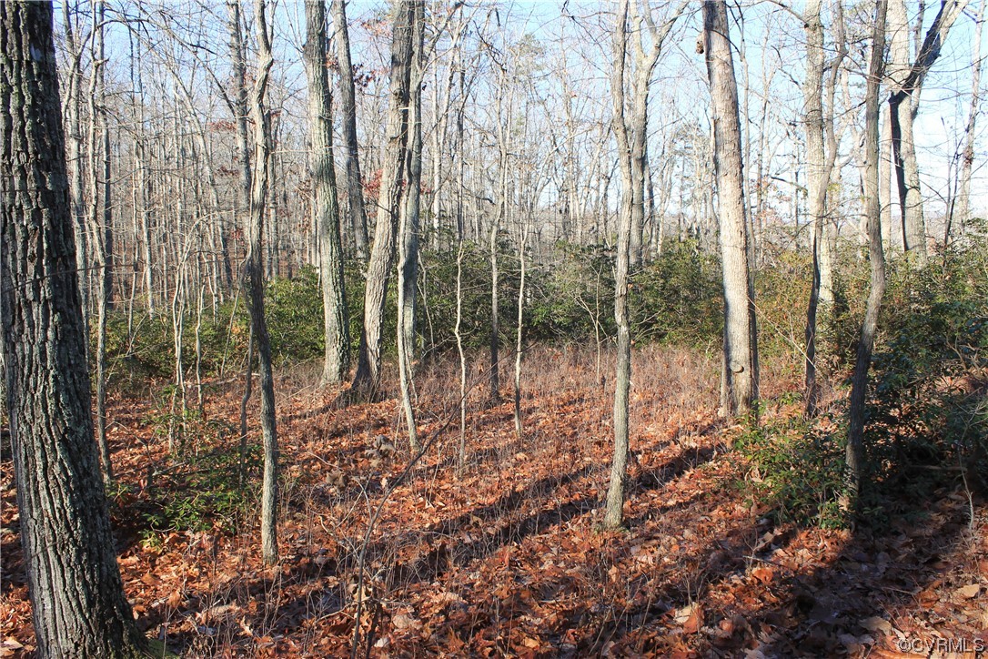 Tbd Ponderosa Road Louisa, VA 23093 - Photo 20 of 42 Gallery Image 20