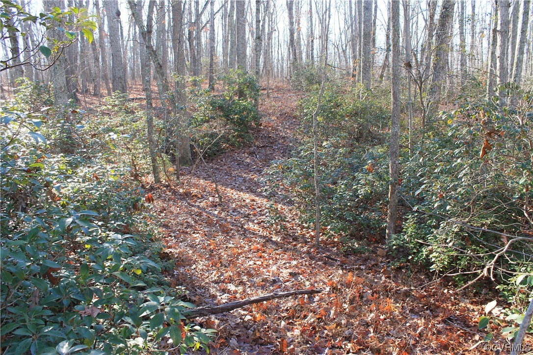 Tbd Ponderosa Road Louisa, VA 23093 - Photo 22 of 42 Gallery Image 22