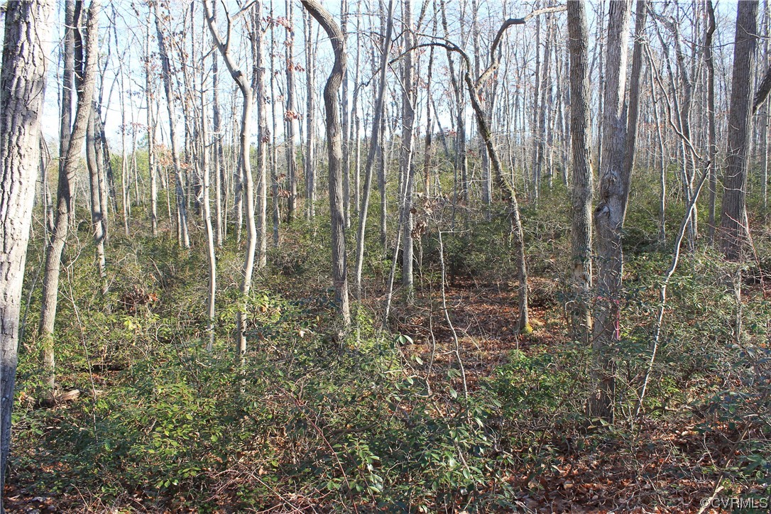 Tbd Ponderosa Road Louisa, VA 23093 - Photo 25 of 42 Gallery Image 25