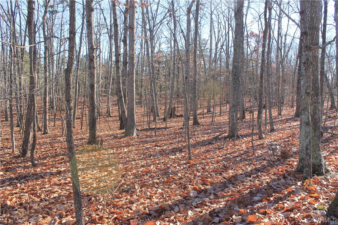 Tbd Ponderosa Road Louisa, VA 23093 - Photo 3 of 42 Gallery Image 3