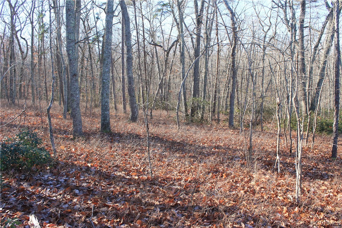 Tbd Ponderosa Road Louisa, VA 23093 - Photo 31 of 42 Gallery Image 31