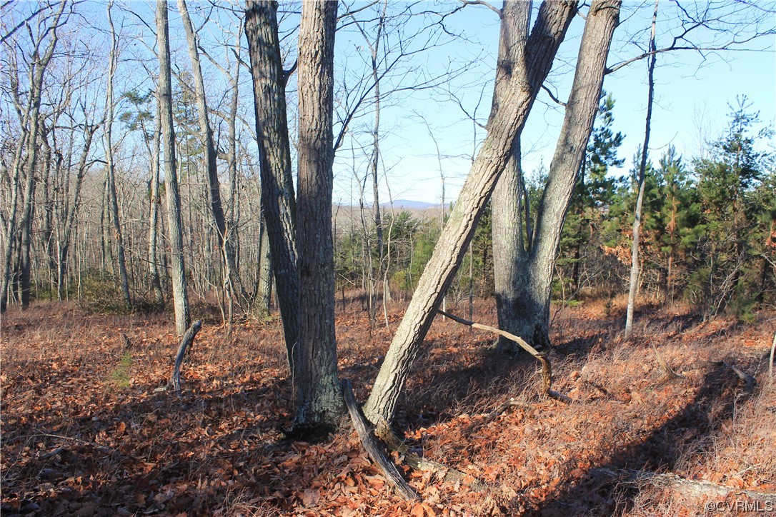 Tbd Ponderosa Road Louisa, VA 23093 - Photo 33 of 42 Gallery Image 33