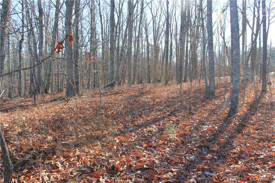 Tbd Ponderosa Road Louisa, VA 23093 - Photo 34 of 42 Gallery Image 34