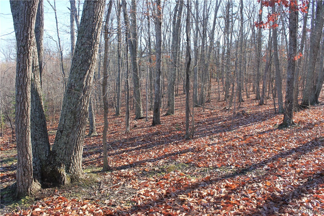 Tbd Ponderosa Road Louisa, VA 23093 - Photo 35 of 42 Gallery Image 35