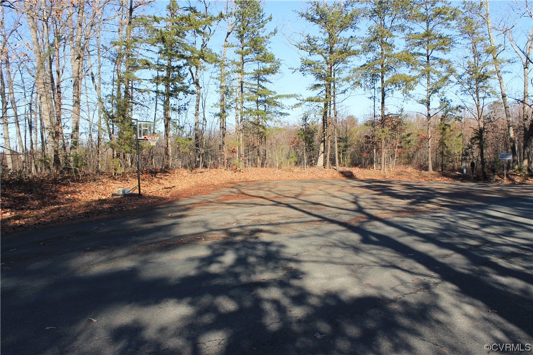 Tbd Ponderosa Road Louisa, VA 23093 - Photo 39 of 42 Gallery Image 39