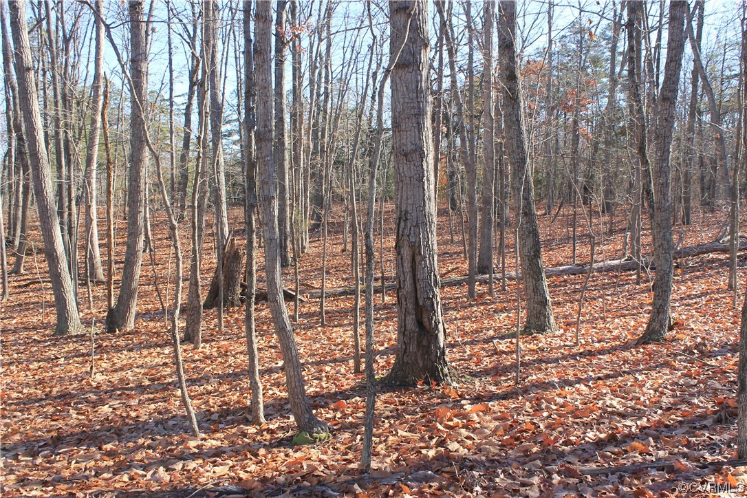 Tbd Ponderosa Road Louisa, VA 23093 - Photo 6 of 42 Gallery Image 6