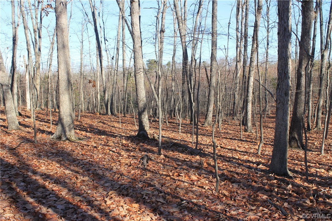 Tbd Ponderosa Road Louisa, VA 23093 - Photo 7 of 42 Gallery Image 7