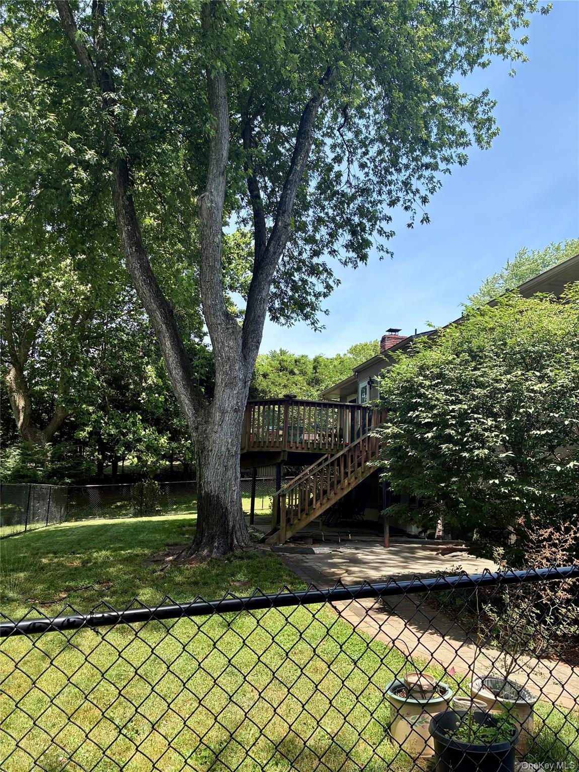 24 Ann Boulevard Spring Valley, NY 10977 - Photo 23 of 25 a view of a yard with plants and a large tree