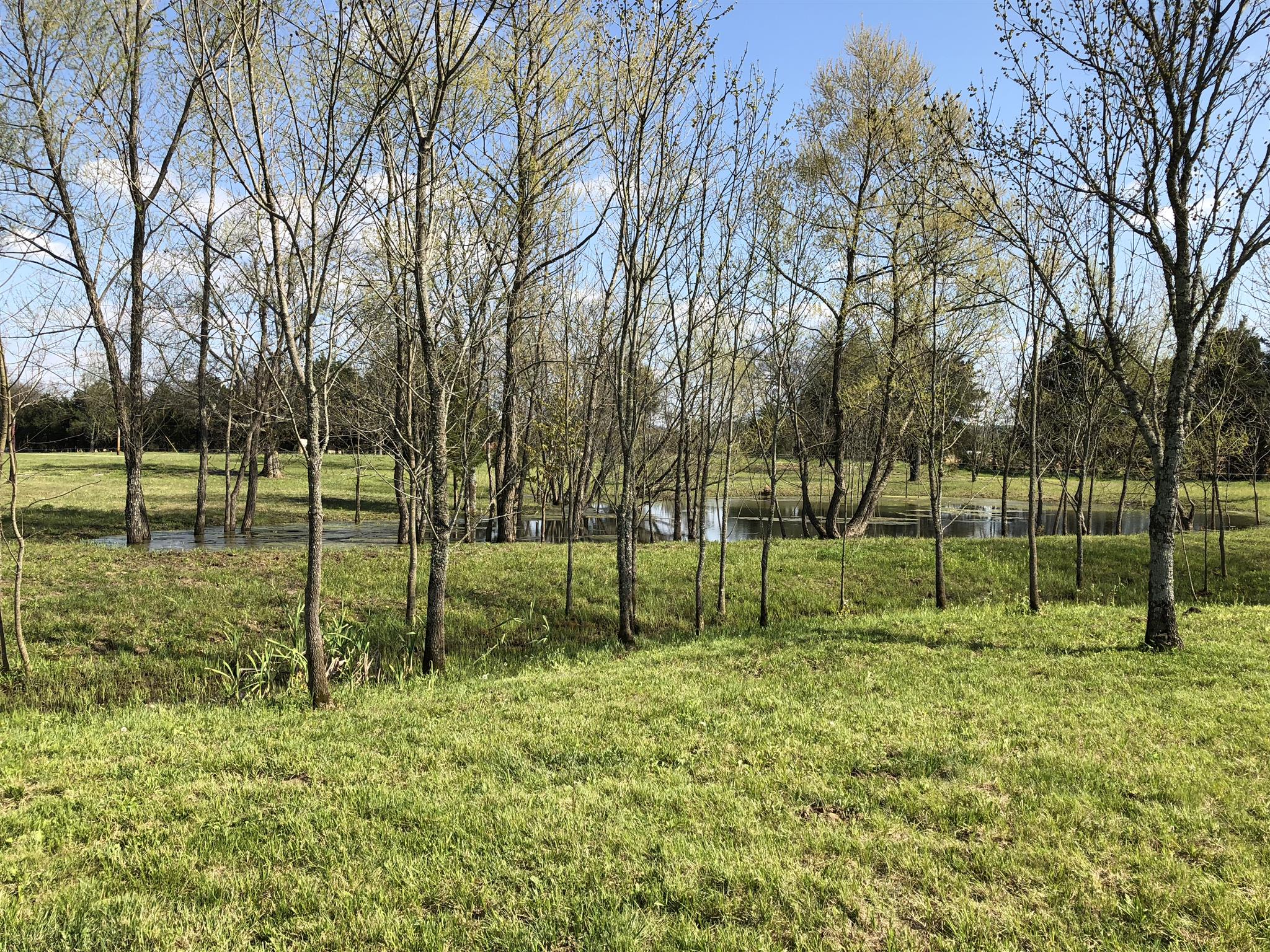 8395 Sims Road Christiana, TN 37037 - Photo 27 of 30 Gallery Image 27