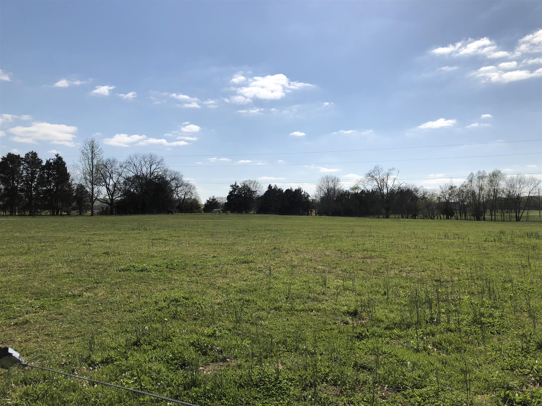8395 Sims Road Christiana, TN 37037 - Photo 28 of 30 Gallery Image 28