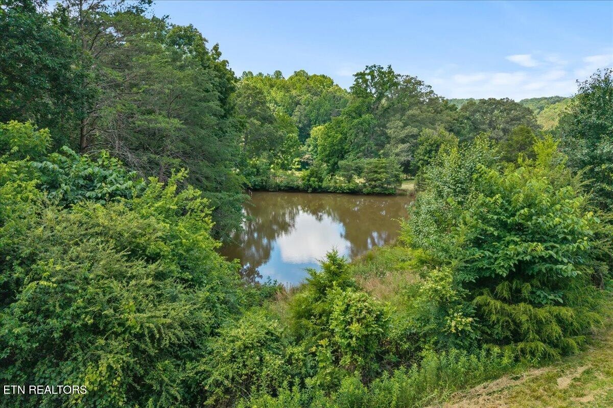 982 Wilson Station Road Madisonville, TN 37354 - Photo 31 of 46