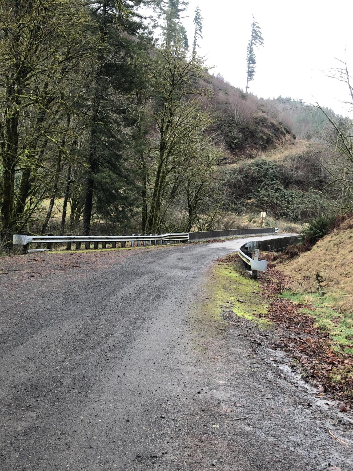 21015 Moon Creek Road Beaver, OR 97108 - Photo 4 of 35 IMG_6616