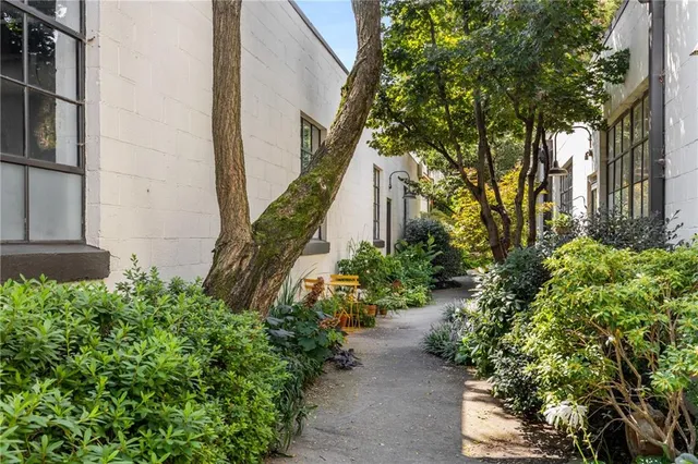 a view of a pathway with a flower garden