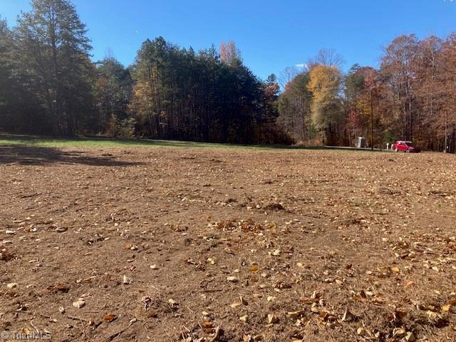 301 Gibson Road Madison, NC 27025 - Photo 3 of 10
