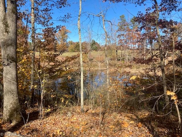 301 Gibson Road Madison, NC 27025 - Photo 8 of 10