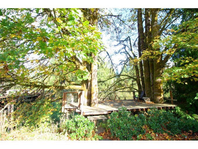 10640 Freeman Road Birkenfeld, OR 97016 - Photo 29 of 32 Gallery Image 29