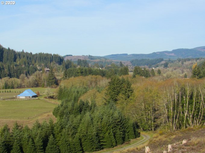 10640 Freeman Road Birkenfeld, OR 97016 - Photo 31 of 32 Gallery Image 31
