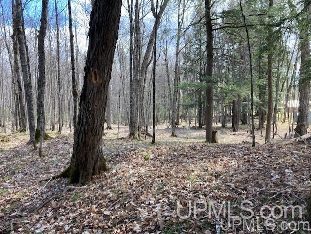 Lot 1 Wizard Road Watersmeet, MI 49969 - Photo 14 of 26 Gallery Image 14