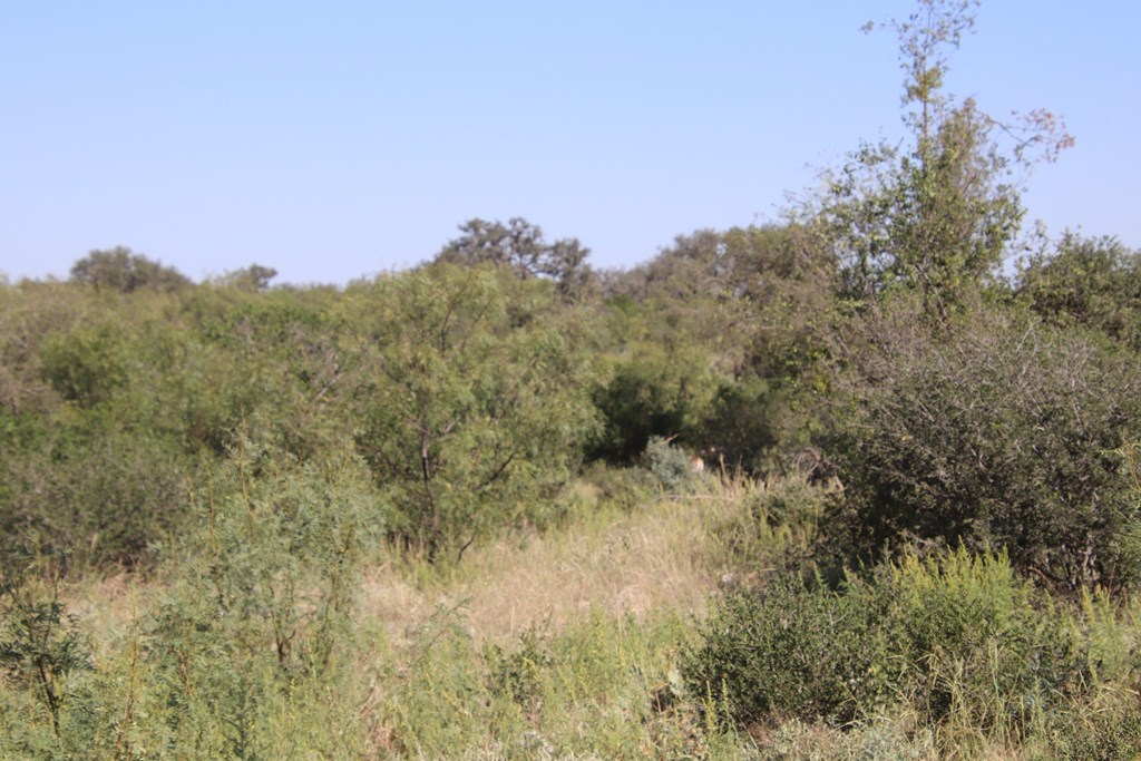 3618 Sd 52100 Rocksprings, TX 78880 - Photo 29 of 88