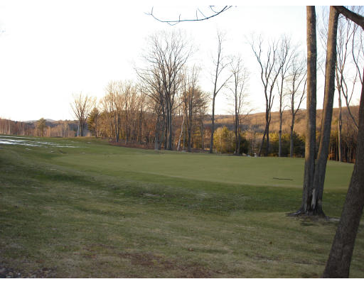 Lot 5 Bemis Road Warren, MA 01083 - Photo 3 of 6 a view of a field with trees
