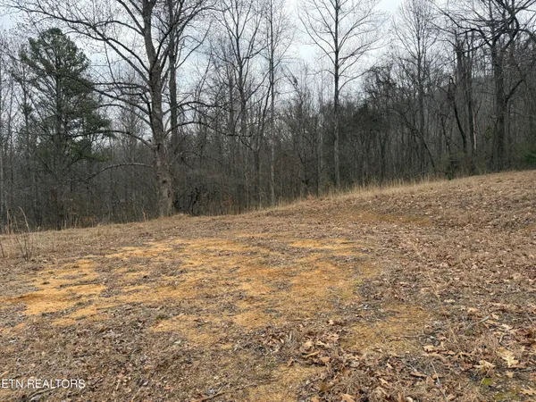 $199,000 | 2675 Timberlake Drive, Cosby, TN 37722