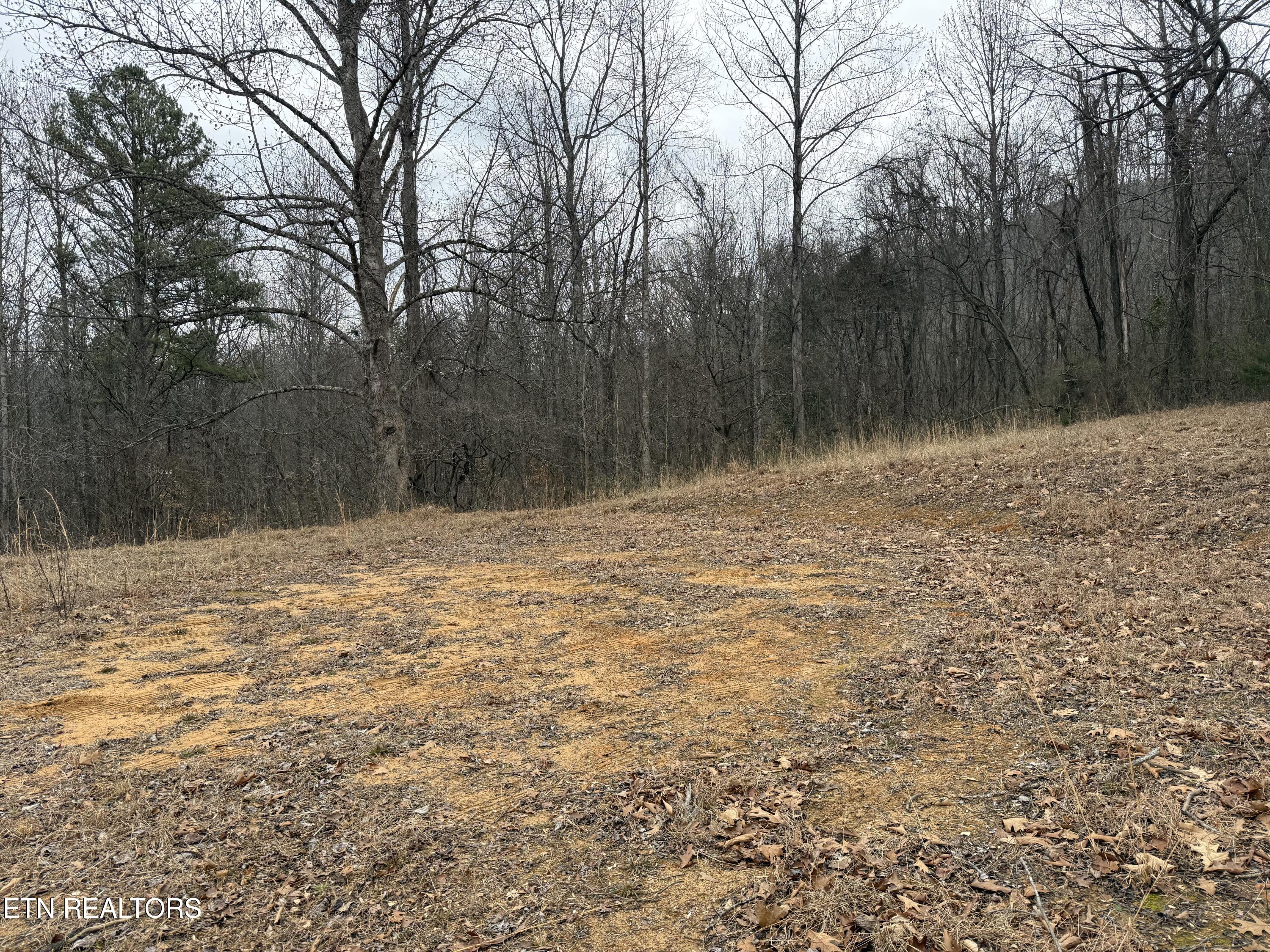 2675 Timberlake Drive Cosby, TN 37722 - Photo 2 of 11 IMG_6748