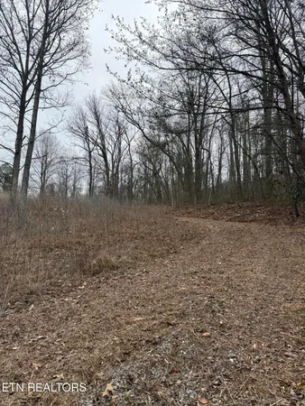 $199,000 | 2675 Timberlake Drive, Cosby, TN 37722