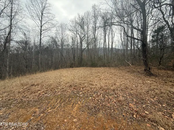 $199,000 | 2675 Timberlake Drive, Cosby, TN 37722