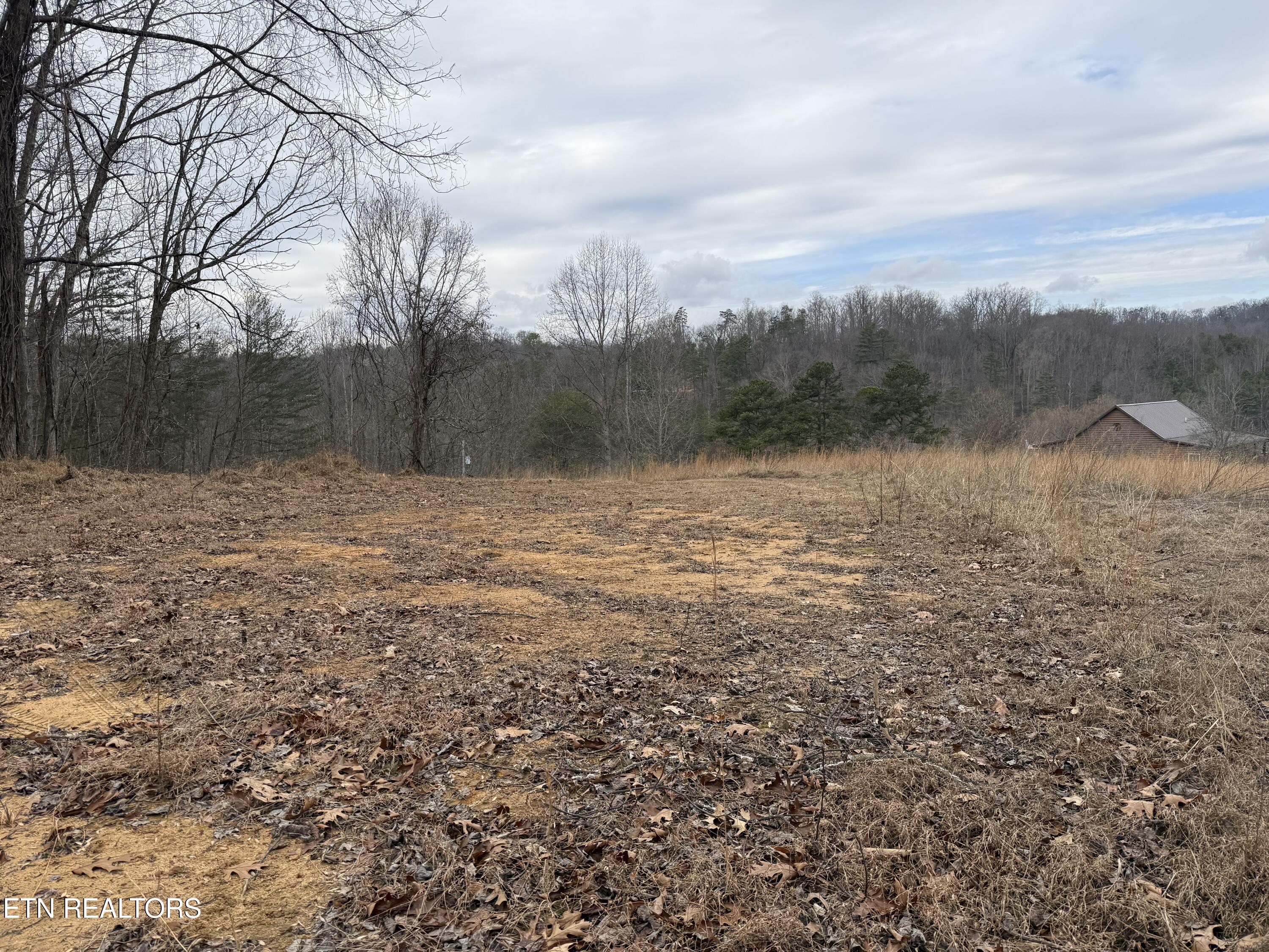 2675 Timberlake Drive Cosby, TN 37722 - Photo 8 of 11 IMG_6744