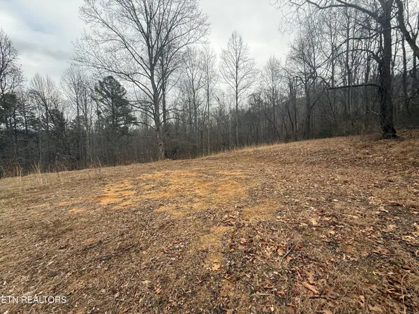 $199,000 | 2675 Timberlake Drive, Cosby, TN 37722