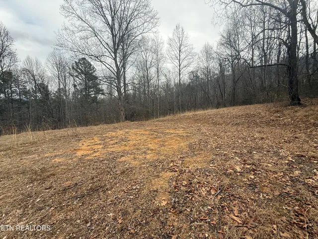 $199,000 | 2675 Timberlake Drive, Cosby, TN 37722