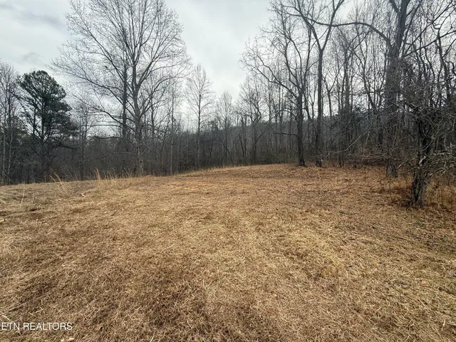 $199,000 | 2675 Timberlake Drive, Cosby, TN 37722