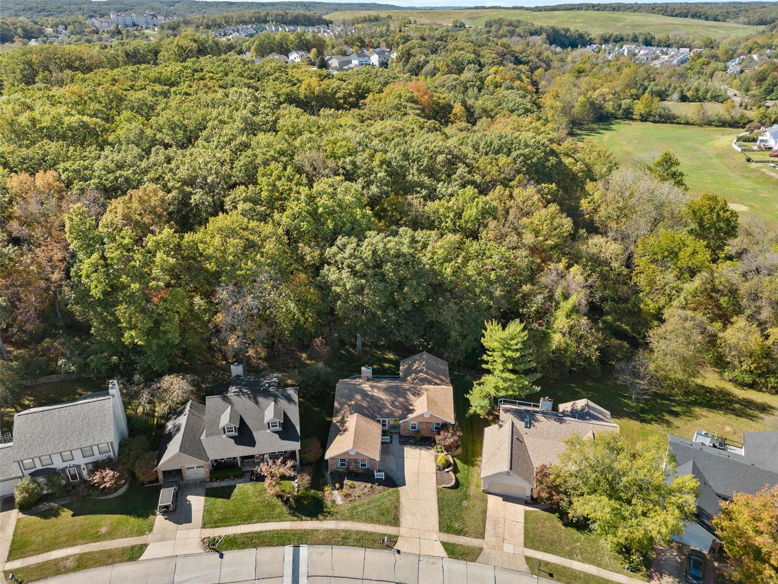 726 Strafford Ridge Drive Ballwin, MO 63021 - Photo 35 of 36