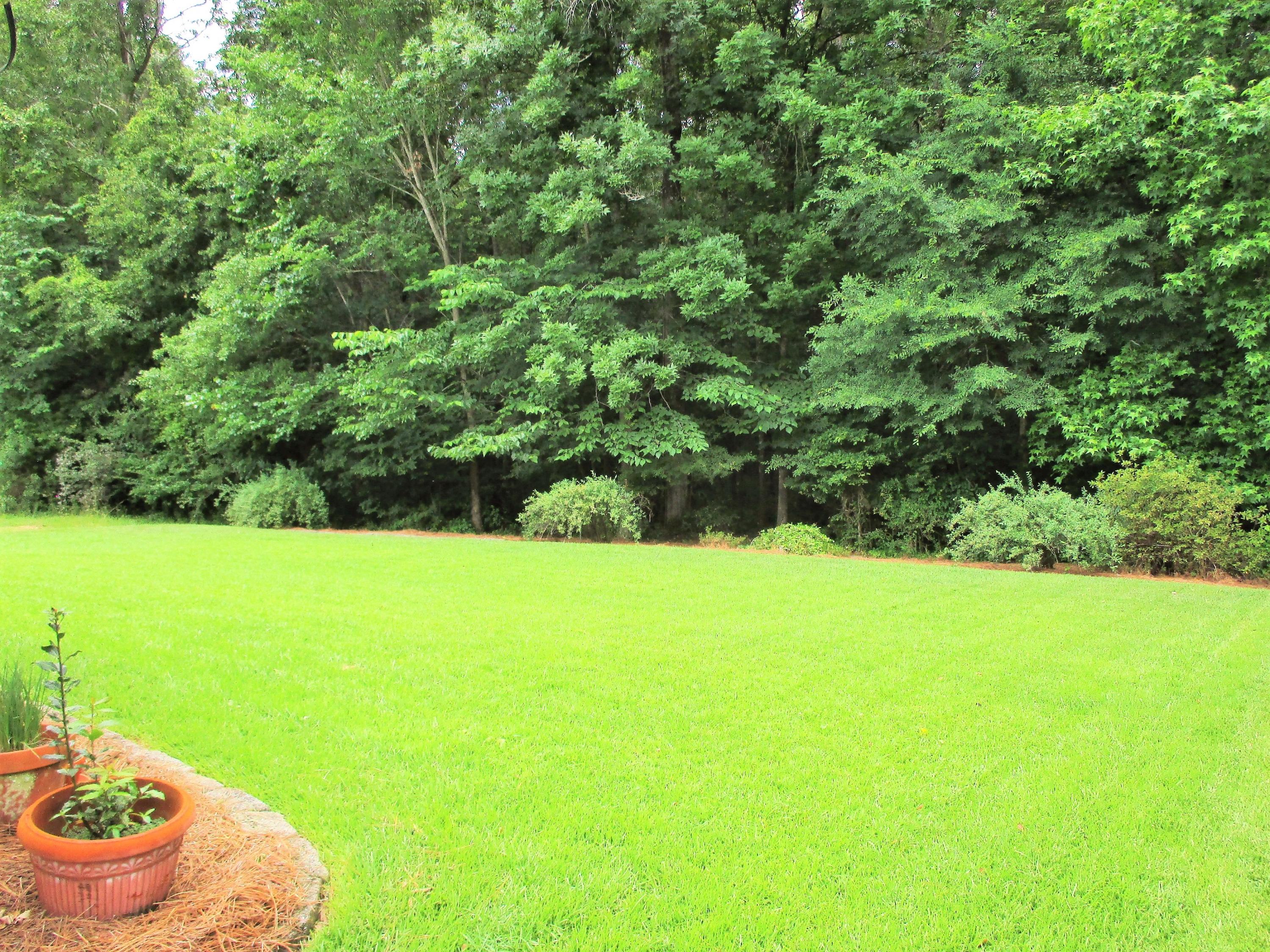 255 Border Road Goose Creek, SC 29445 - Photo 25 of 46 255 Border Rd (21)