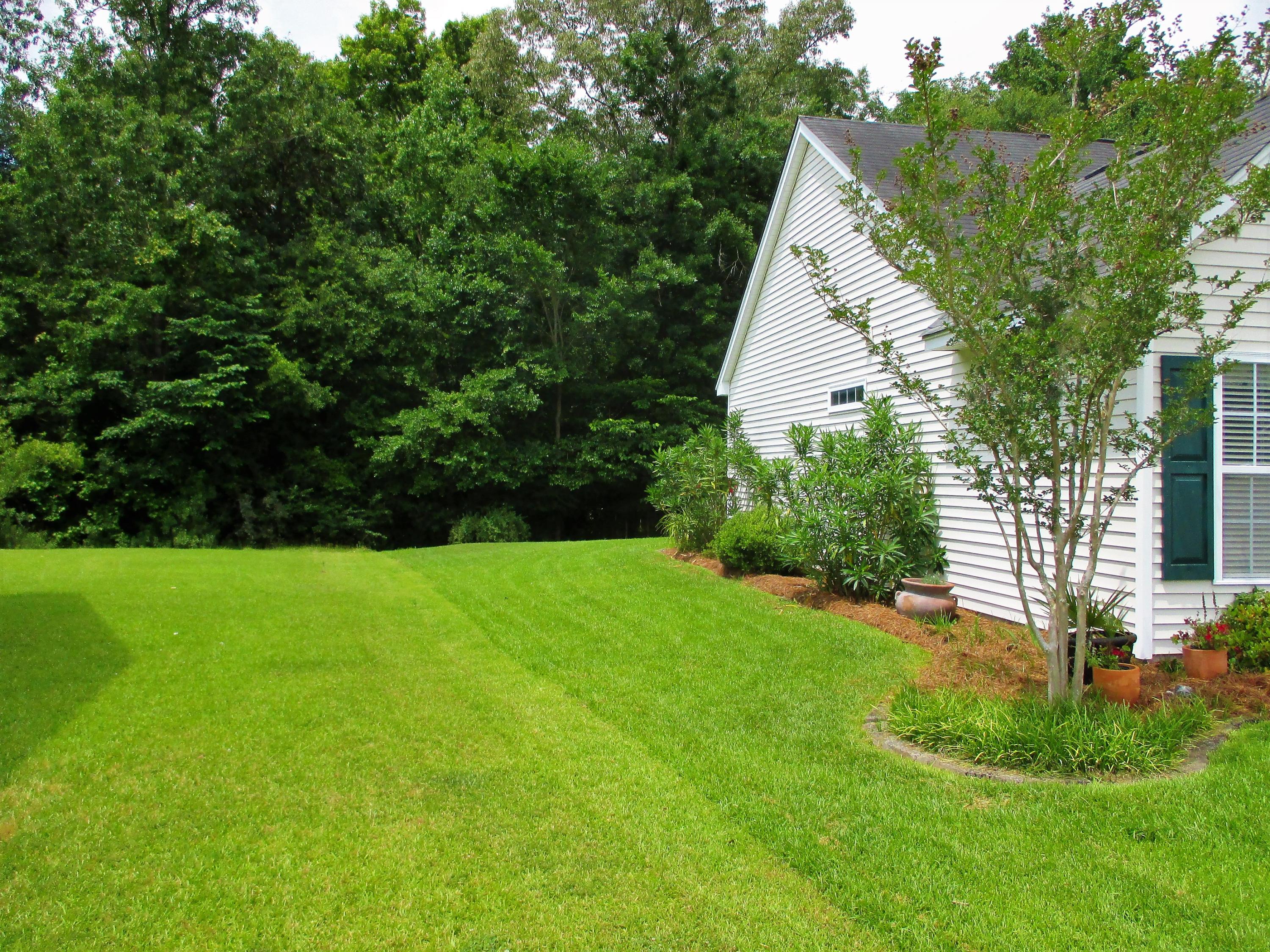 255 Border Road Goose Creek, SC 29445 - Photo 26 of 46 255 Border Rd (13)