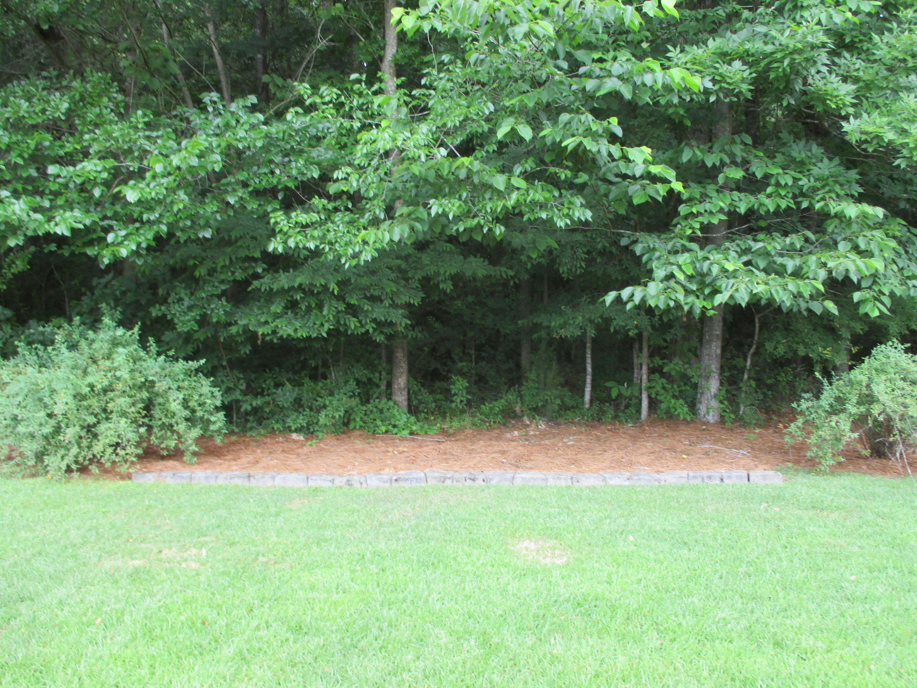 255 Border Road Goose Creek, SC 29445 - Photo 28 of 46 255 Border Rd (23)