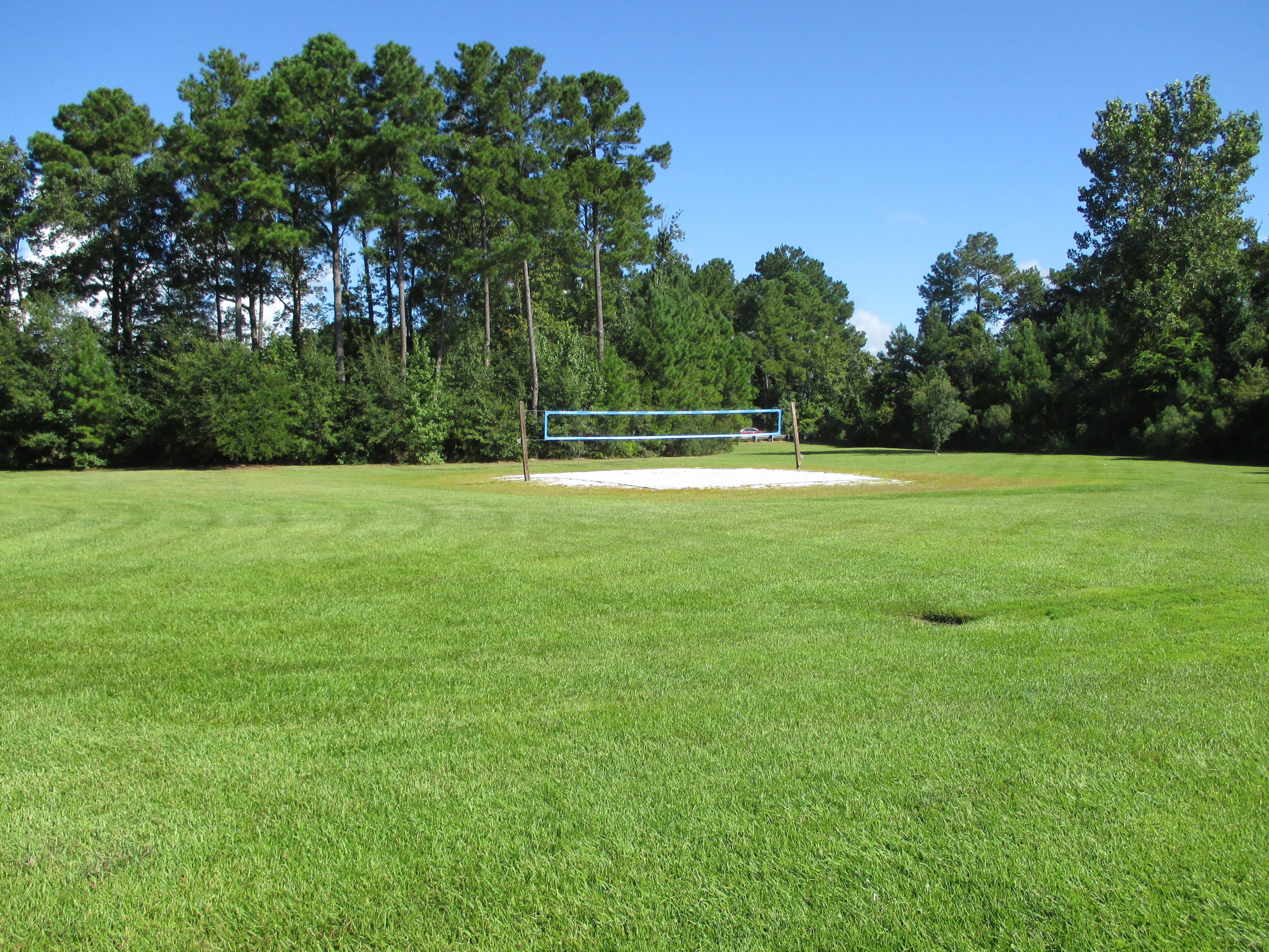 255 Border Road Goose Creek, SC 29445 - Photo 41 of 46 IMG_0853 (2)