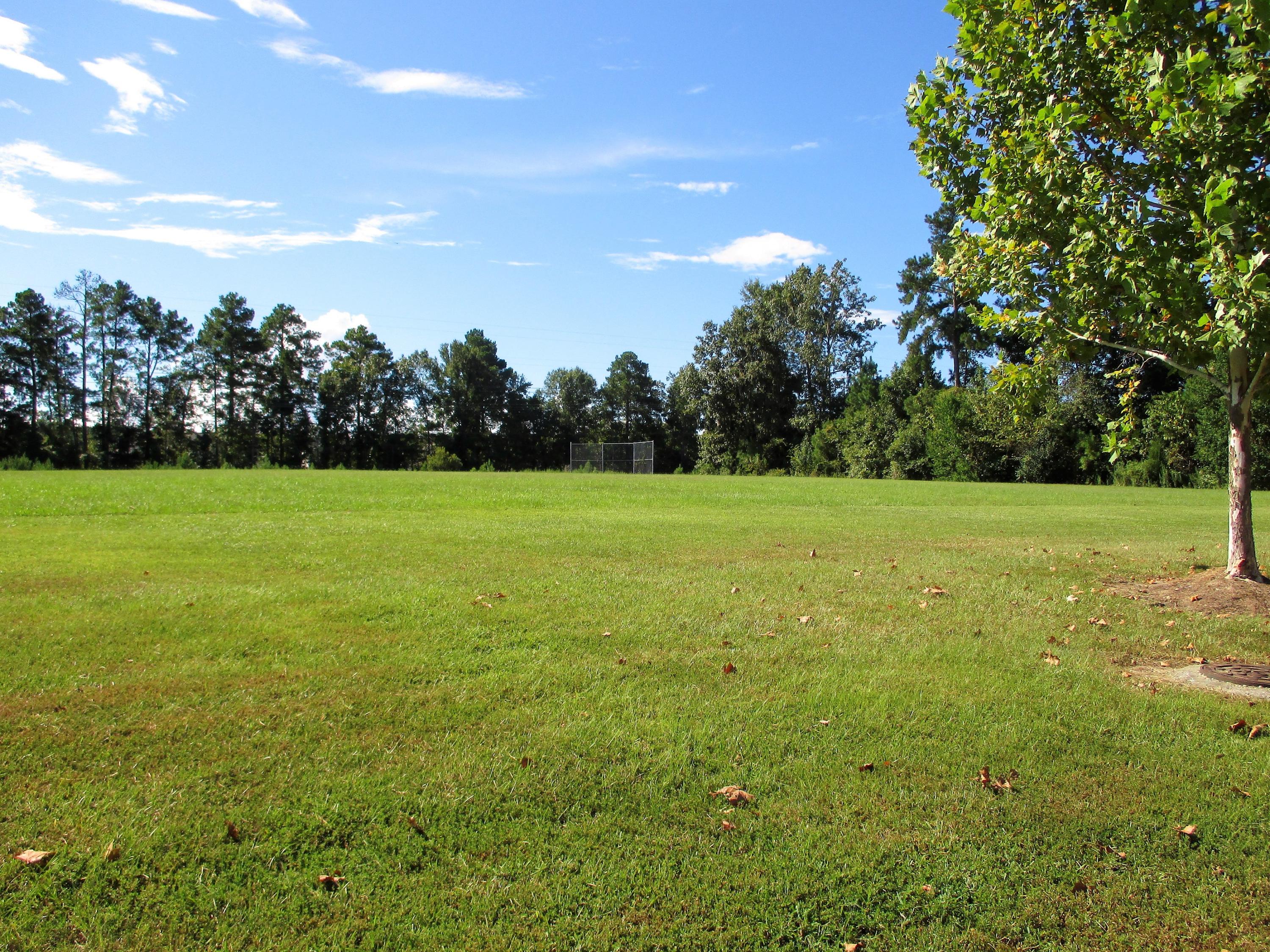 255 Border Road Goose Creek, SC 29445 - Photo 42 of 46 IMG_0873 (2)