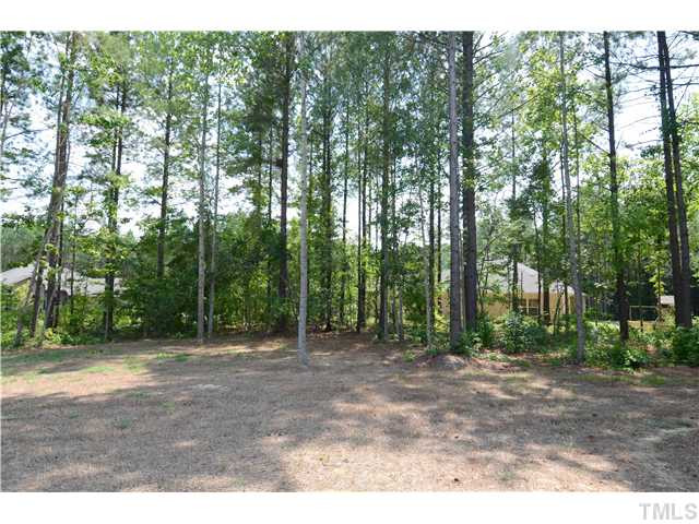 17 Spring Haven Lane Willow Spring, NC 27592 - Photo 21 of 22 Back Yard