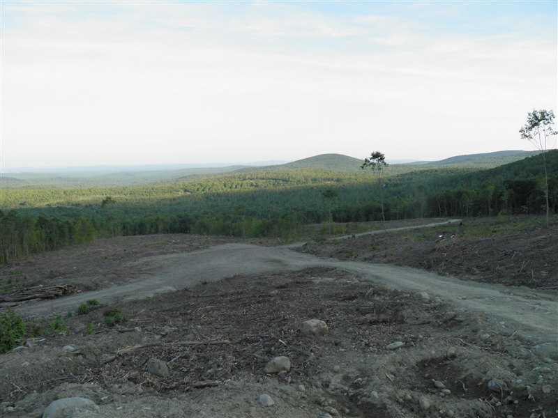 8 Coffin Road Industry, ME 04938 - Photo 13 of 17 Land/Lot. Building or camper site.