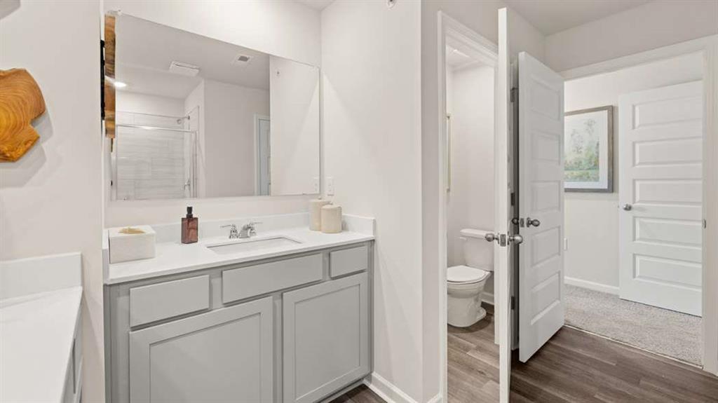 424 Reflection Drive Stockbridge, GA 30281 - Photo 39 of 66 a bathroom with a sink and a mirror